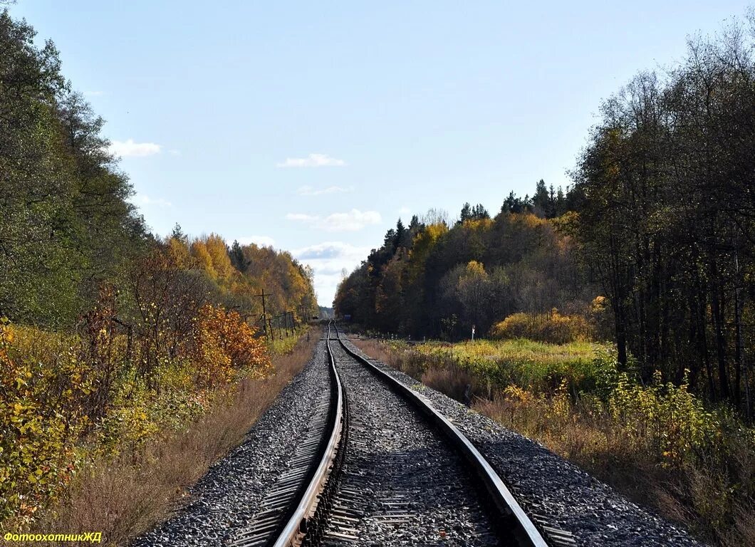 Морсово пензенская область земетчинский район. Прогноз погоды в морсово на две. Прогноз погоды в морсово на две. Станция морсово пензенская область. Станция морсово пензенская область.