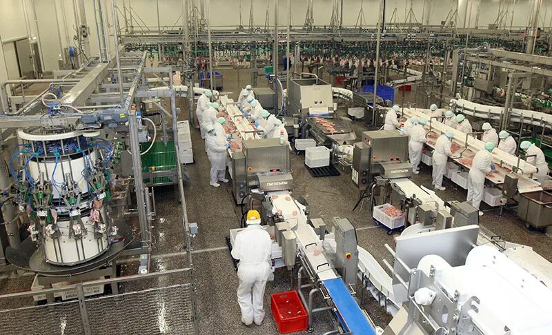 мираторг курск черницыно. мираторг мясокомбинат. завод мираторг в калининграде. мираторг цех. мираторг отзывы работников.