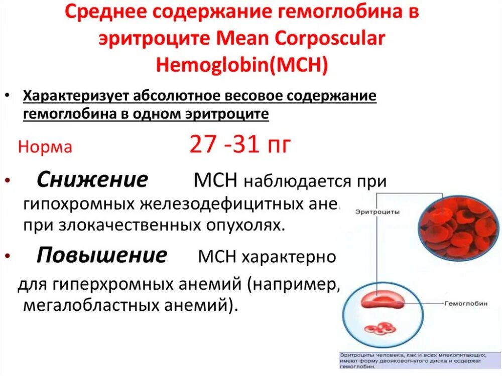 Mch анемия. Снижение среднего содержания гемоглобина в эритроците. Среднее содержание гемоглобина в 1 эритроците норма. Нормы показателей средней концентрации гемоглобина в эритроците. Средний объем эритроцитов повышается при.