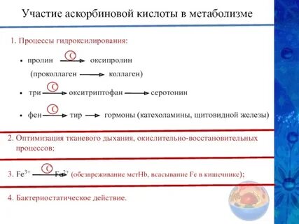 Участвует в метаболизме