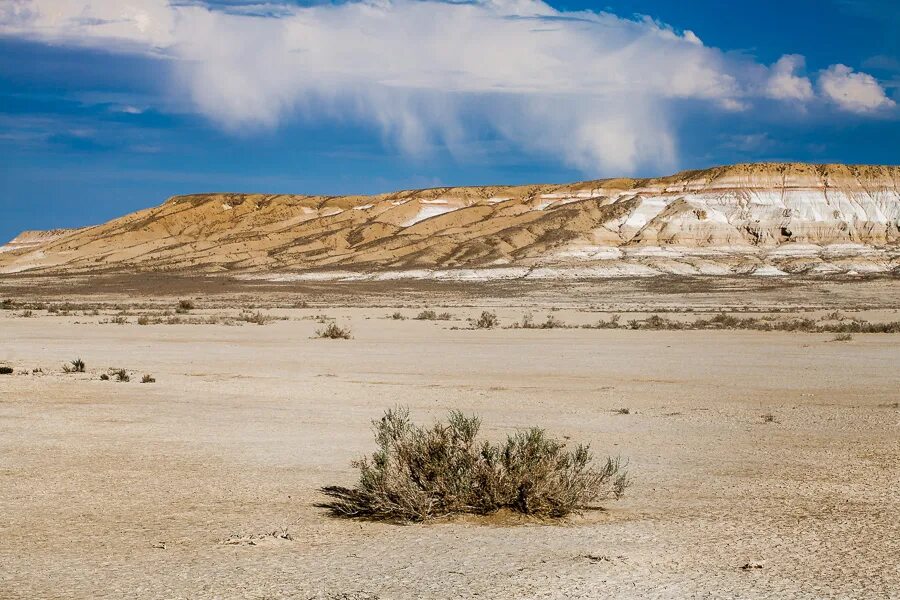 Степь полупустыня пустыня. Пейзаж пустыни кызылкум. Пустыни и полупустыни россии. Аридный климат полупустыни. Степь пустыня.
