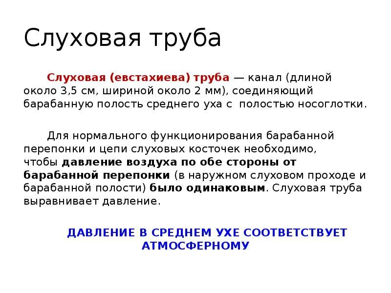 Евстахиева труба функции. Евстахиева труба функции