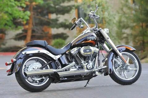 Harley softail