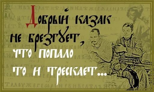 Только пуля казака догонит. Лозунги Казаков. Фразы Казаков. Слоган Казаков. Девиз Казаков.