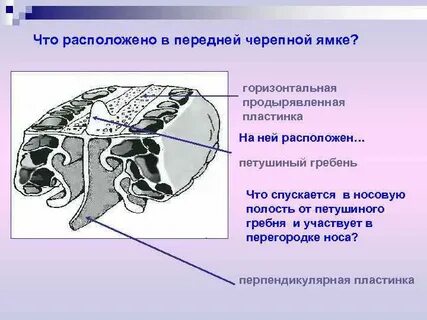 Решетчатая пластинка
