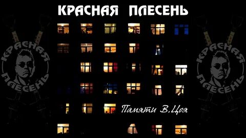 Плесень памяти цоя