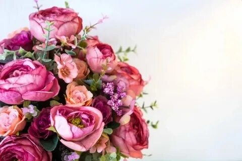 Как продлить жизнь букету: советы агронома новосибирцам - МК Новосибирск