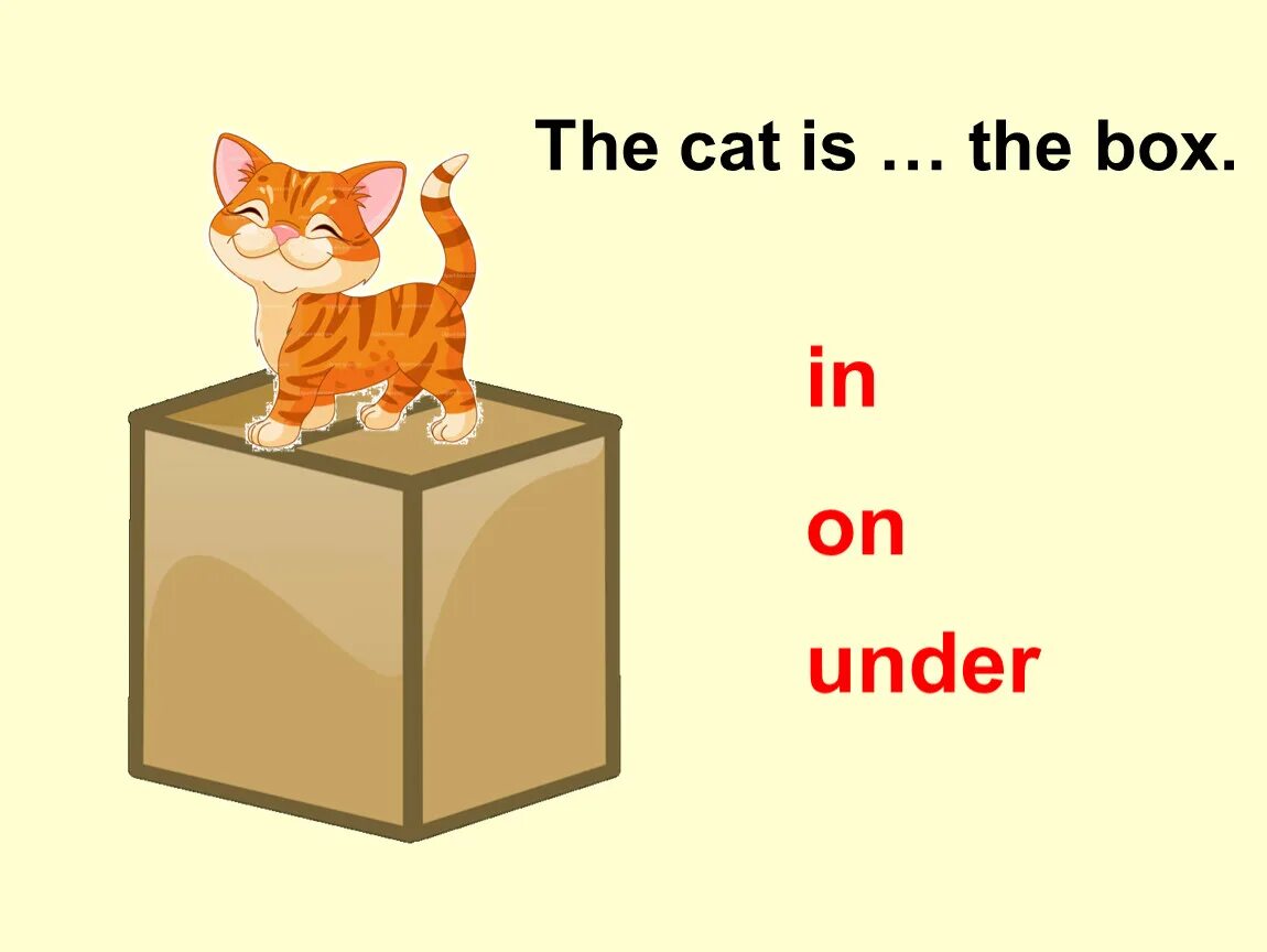 He takes the box. Предлоги in on under. Prepositions of place предлоги места. In on under задания. Английские предлоги in on under.