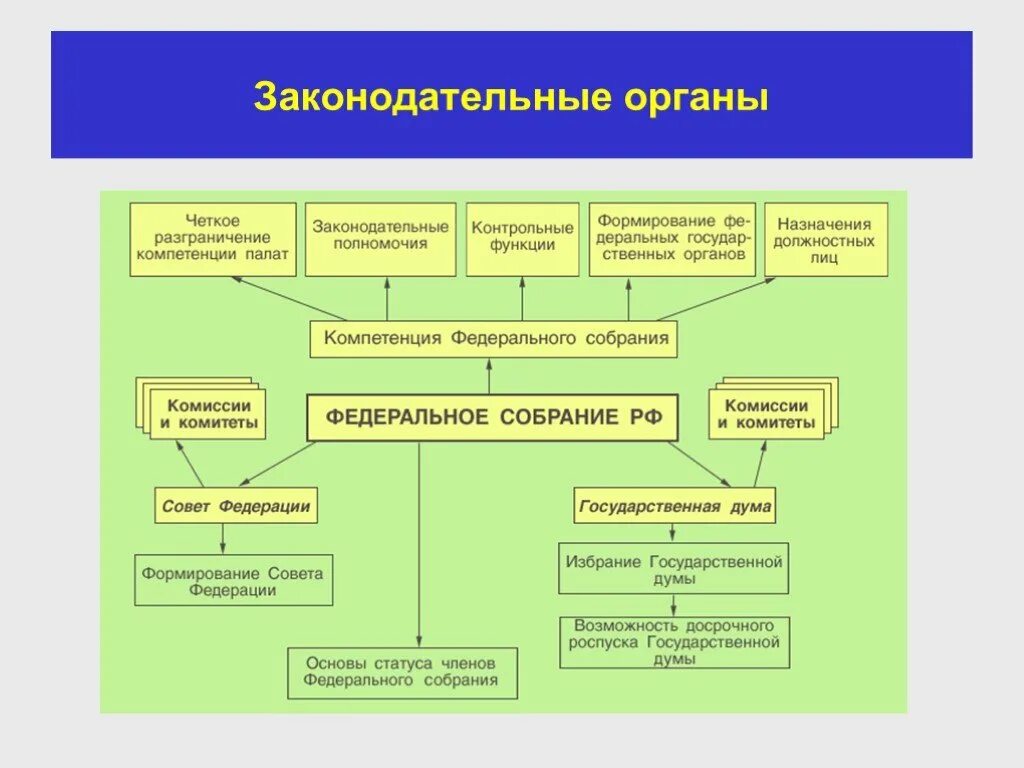 Структура законодательных органов рф