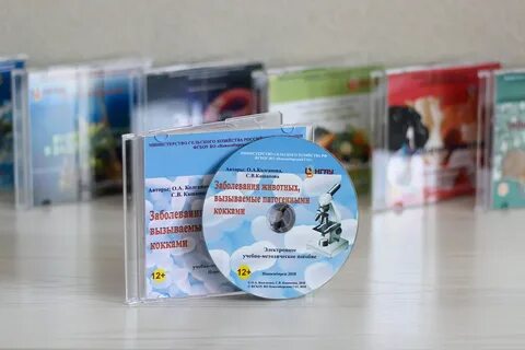 Цифровое издание