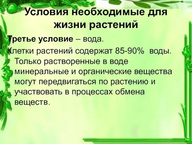 Значение роста в жизни растений 5. Условия жизни растений. Условия необходимые для жизни растений. Что необходимо растению для жизни. Условия которые необходимы для жизни растений.