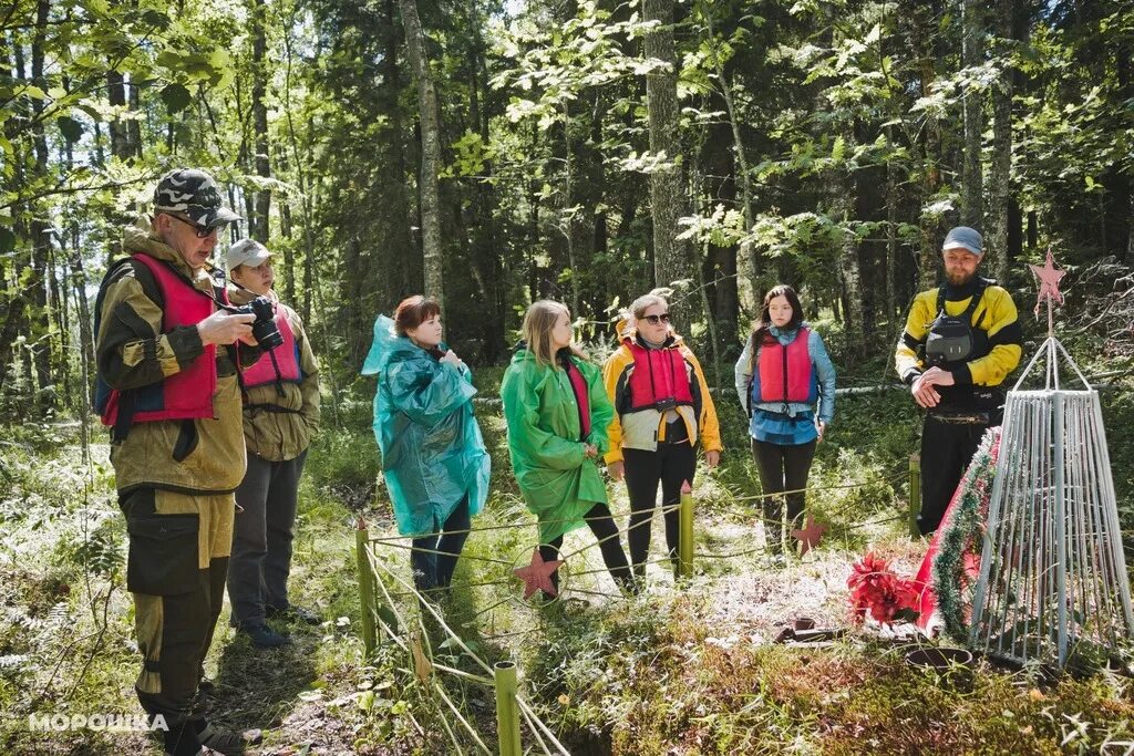 Машина для экспедиций. Поход в горы. Поход. Экспедиции лето. Поисковые экспедиции курган ннгу.