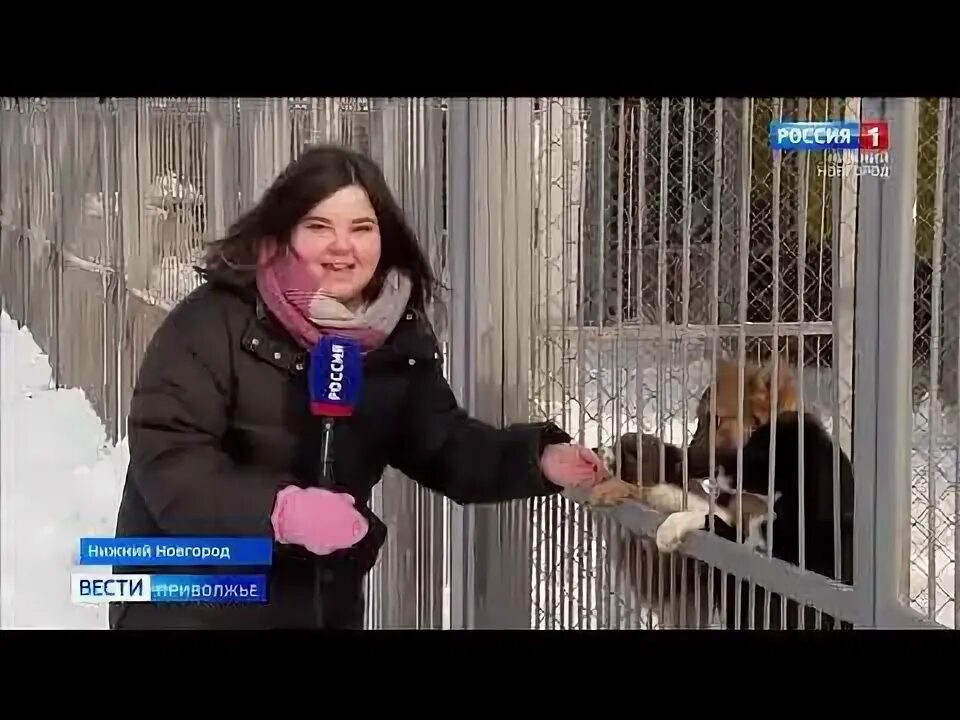 Вести приволжье гример. Вести приволжье 24. Вести приволжье 24. Вести приволжье последний звонок. Вести-приволжье козырек подъезда.