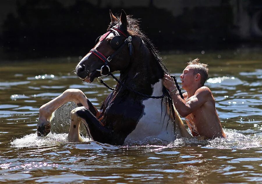 В кон через. Купание на лошадях. Купание лошадей в реке. Лошадь купается. Кони купаются.