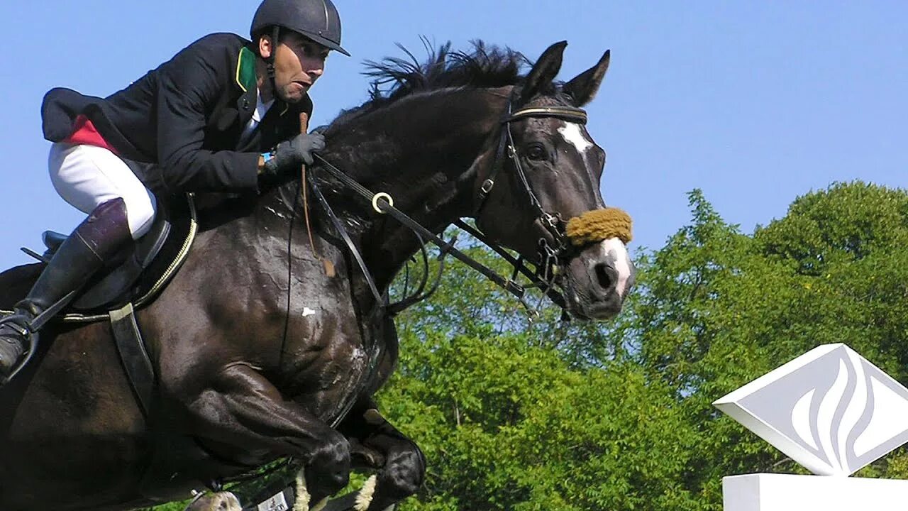 Конкур всадник. Конкур. Конный спорт. Лошади эстетика конкур. Эстетика конного спорта конкур.