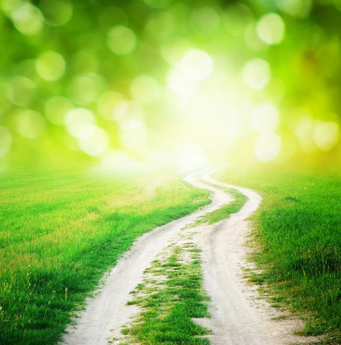 Дорога путешествие. Дорога путешествие. Дорога вьется. Путешествие пребывание в пути 6 букв. Горы.