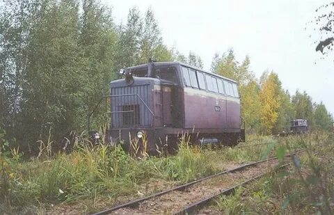 Автобус тверь васильевский мох