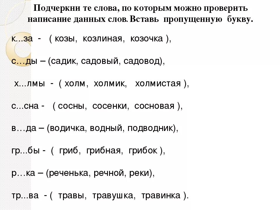 Проверочное слово змей. Слова которые можно проверить. Слова которые можно проверить проверочным словом. Проверочные слова 2 класс. Слова которые проверяются.