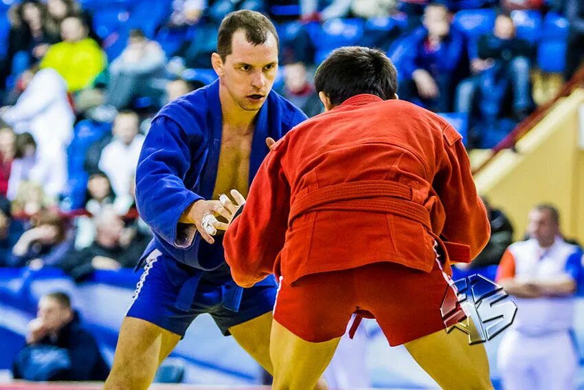 Фиас международная федерация самбо. Fias самбо. Символ самбо. Кубок мира по самбо мемориал а а харлампиева 2021. Самбо видео.