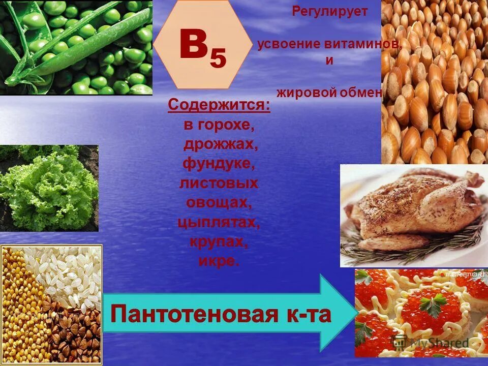 белки жиры углеводы вода минеральные соли витамины. горох витамины. жирорастворимых витаминов группы а, д, к и е. -микронутриенты - микроэлементы, витамины, минералы. веществ и усвоение витаминов.