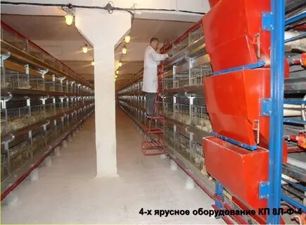 Птицефабрика 4