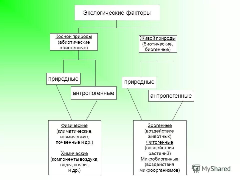 факторы живой природы 5 класс биология таблица. экологические факторы абиотические факторы. антропогенный фактор антропогенный фактор. классификация факторов окружающей среды. виды воздействия человека на окружающую среду.