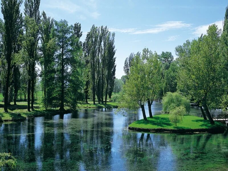 Весенняя природа. Юность девушка. Весеннее дерево. Весеннее цветение. Природа весной.