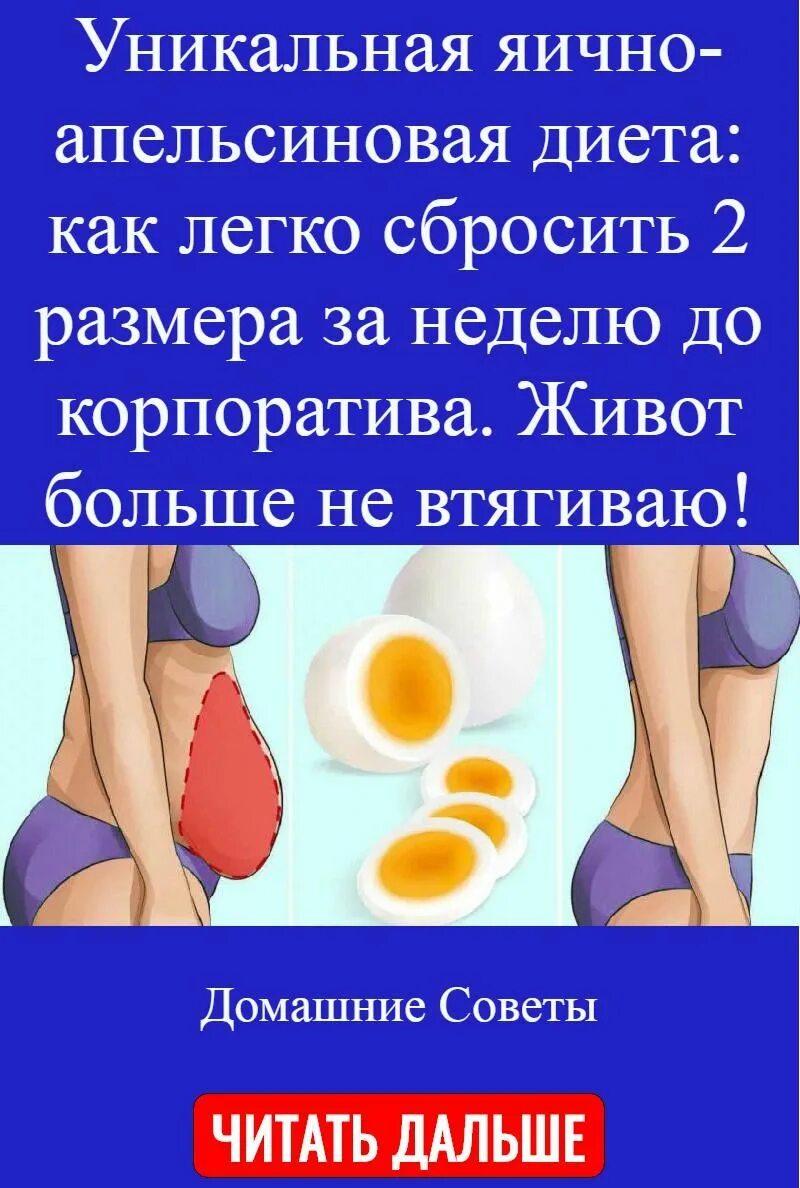Диета яйца с апельсинами. Диета на апельсинах. Диета яйца с апельсинами. Яичная апельсиновая диета на 7 дней. Трехдневная диета.