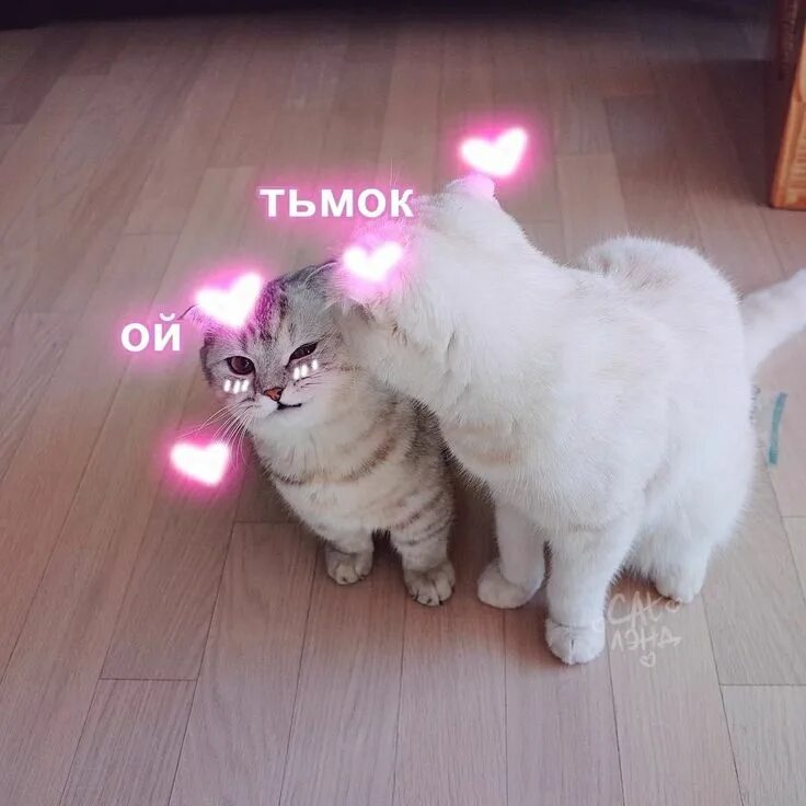 Пин от пользователя 