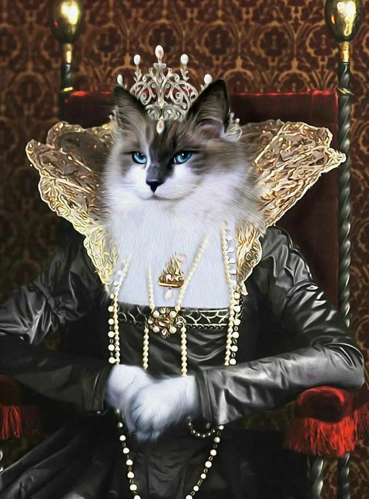 Кошечки королевы. Кот в короне. Королевский кот. Наряды для кошек шикарные. Кошка с короной на голове.