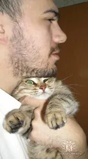 Хозяин зверей