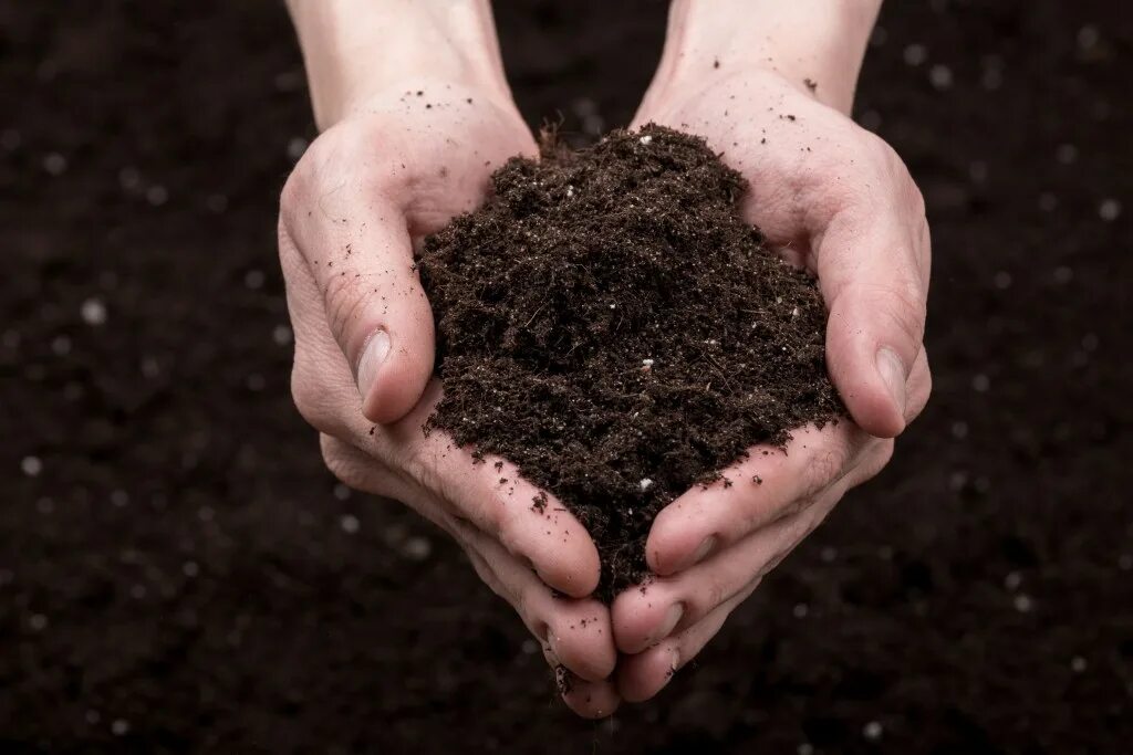 Заботящаяся почва. Горсть земли. Почва. Грунт в руках. Горсть почвы.