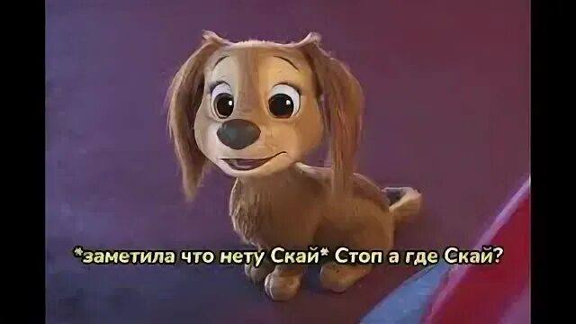 Потеряла скай