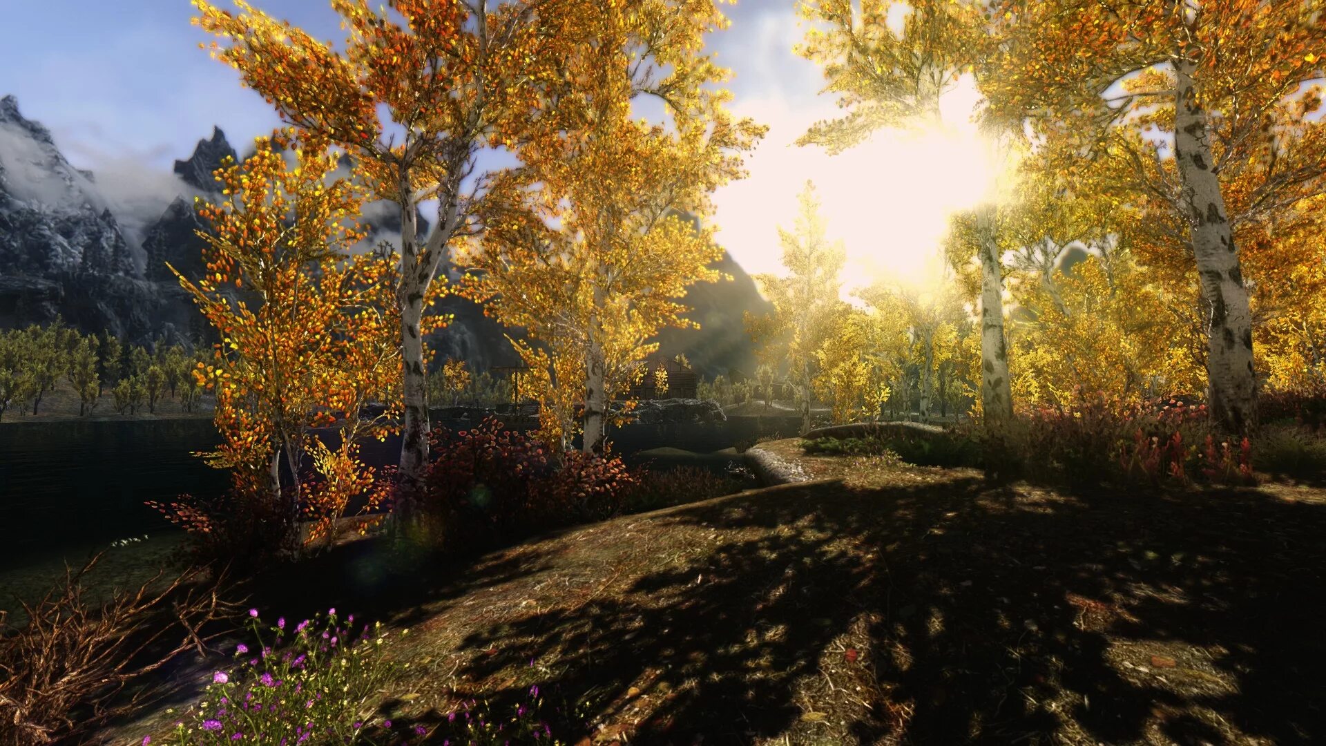 Мод ENB Skyrim. REALVISION ENB. Скайрим с шейдерами. Мод на графику Скайрима.