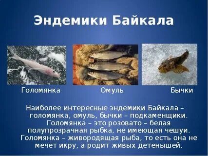 Сколько рыбы в озере