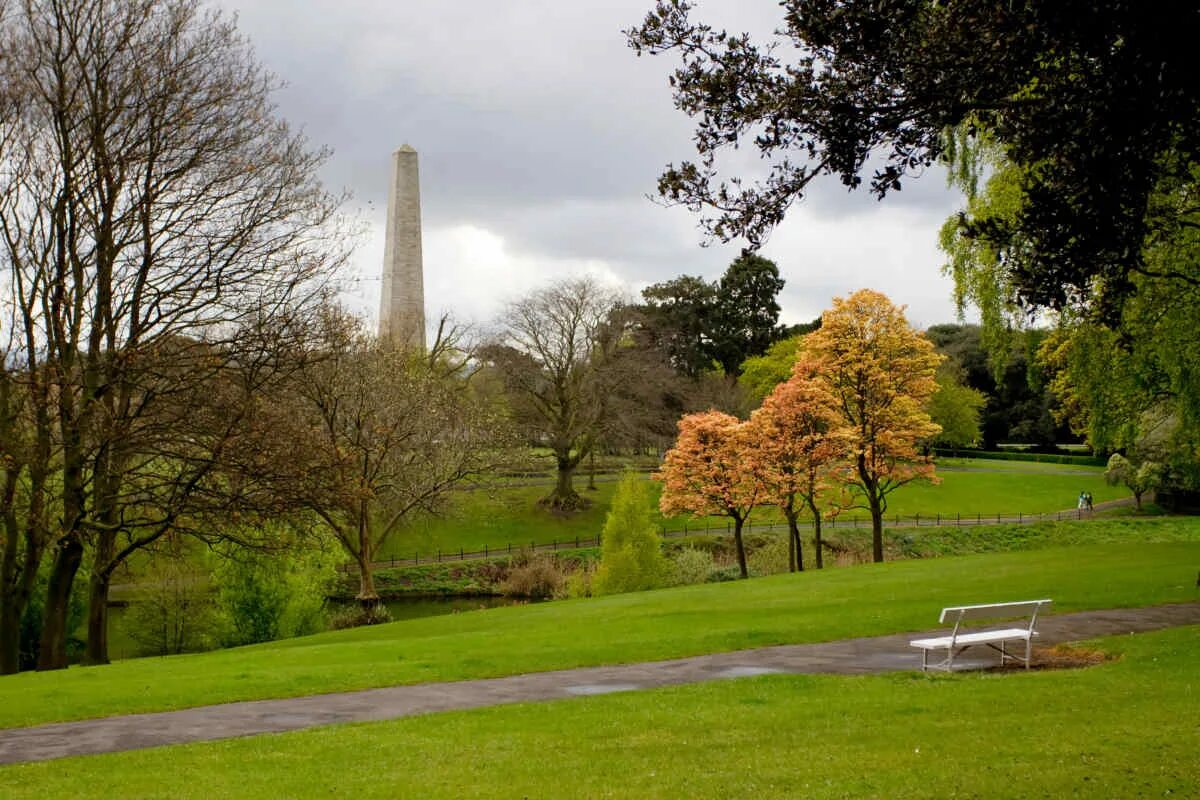 Национальный парк килларни killarney national park. Парк ирландия. Парк ирландия. Национальный парк килларни (графство керри). Парк ирландия.