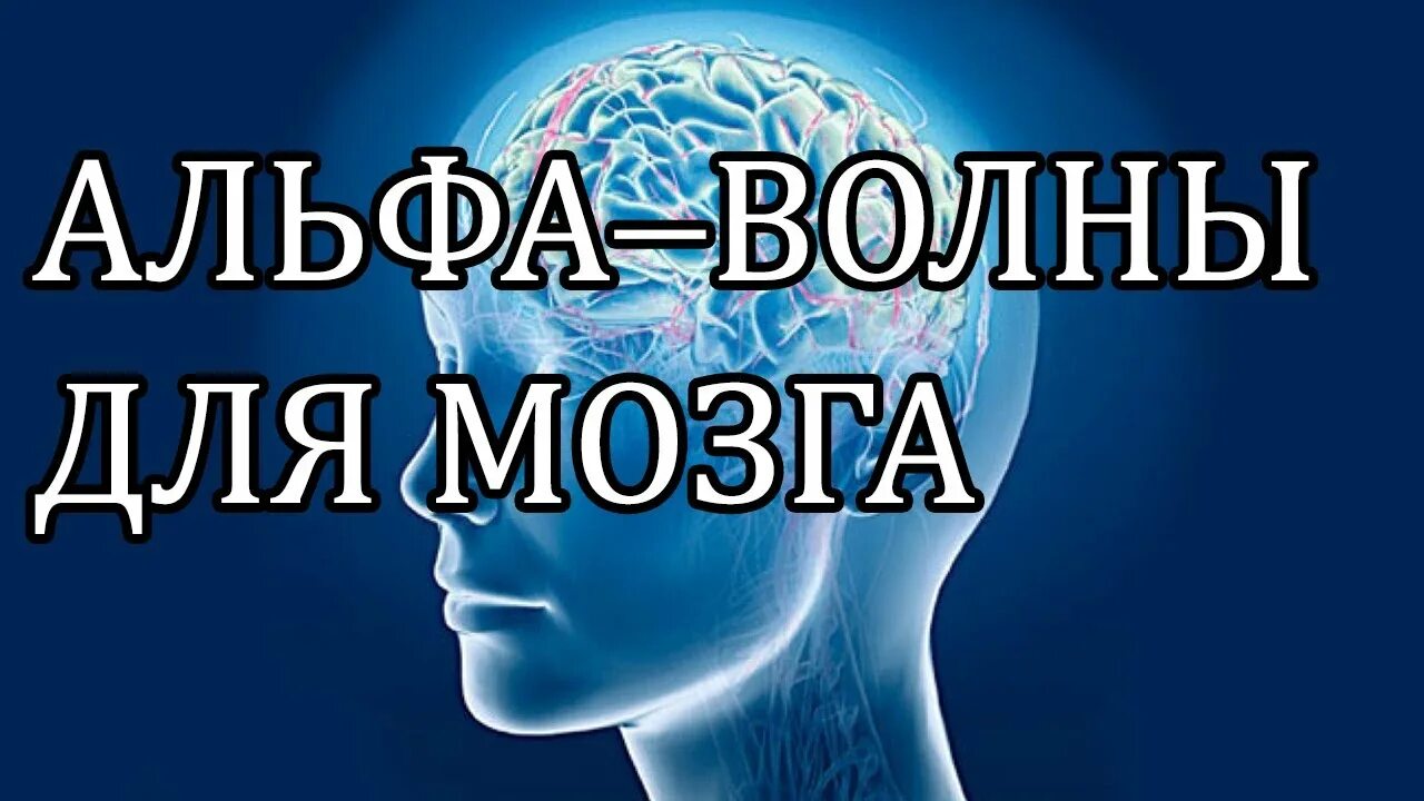 Альфа мозг. Альфа медитация. Альфа волны. Альфа волны головного мозга.