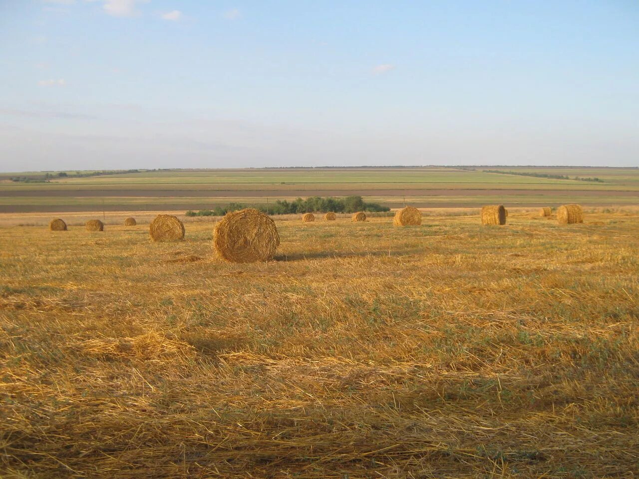 Сено ставропольском крае. Степи Ставропольского края. Поселок Кубанская степь. Земледелие степей и лесостепей. Кубанская степь Каневской район.