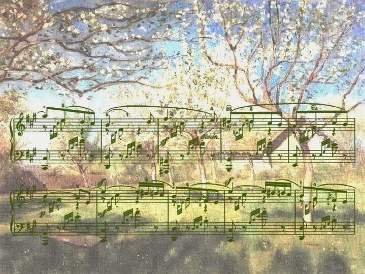 Гитара и роза. Композиции без слов. Композиции без слов. Жанр баркарола в музыке. Инструментальные жанры баркарола.