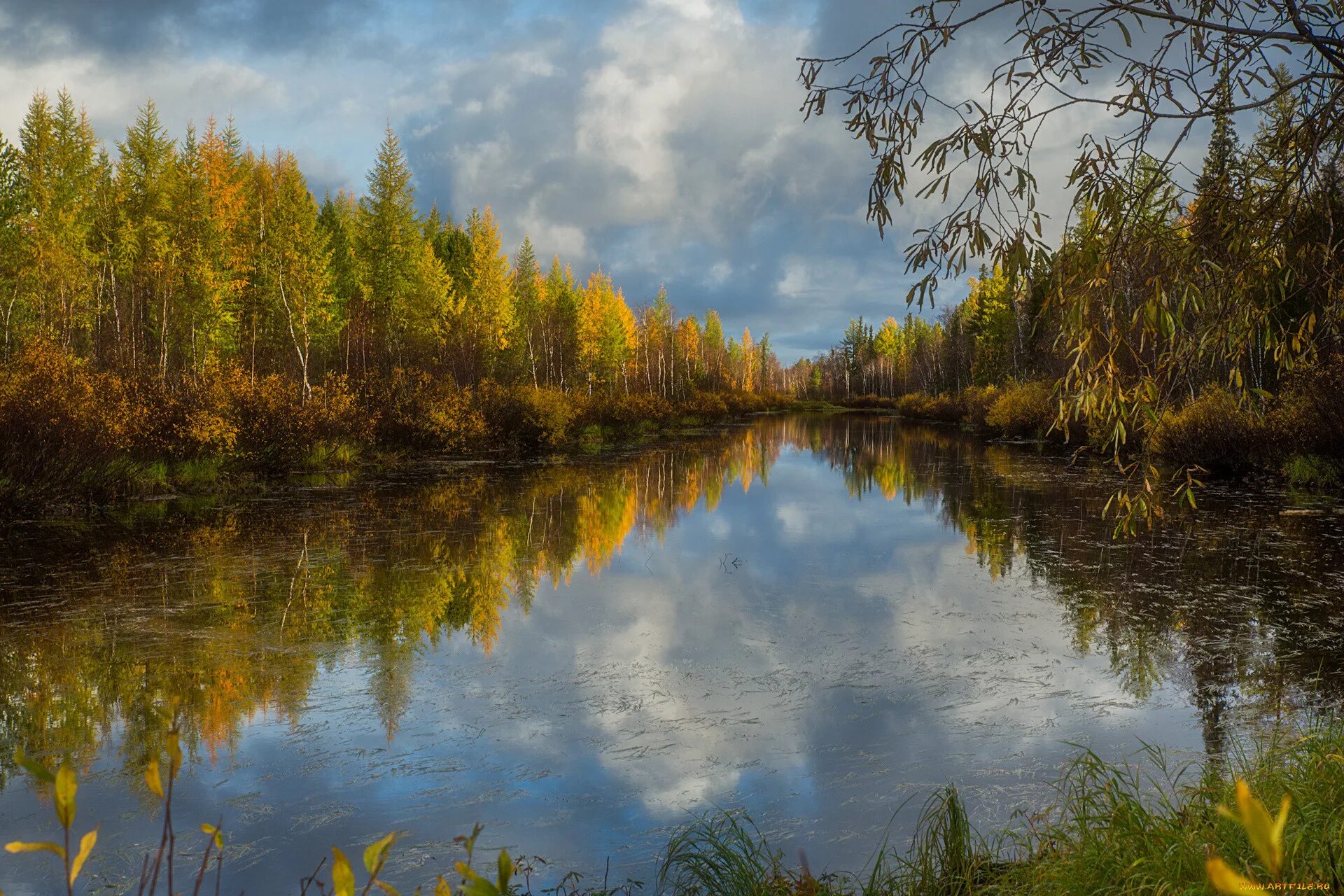 Лес отражение. Природа река. осень река. осеннее озеро. пейзаж с отражением в воде.