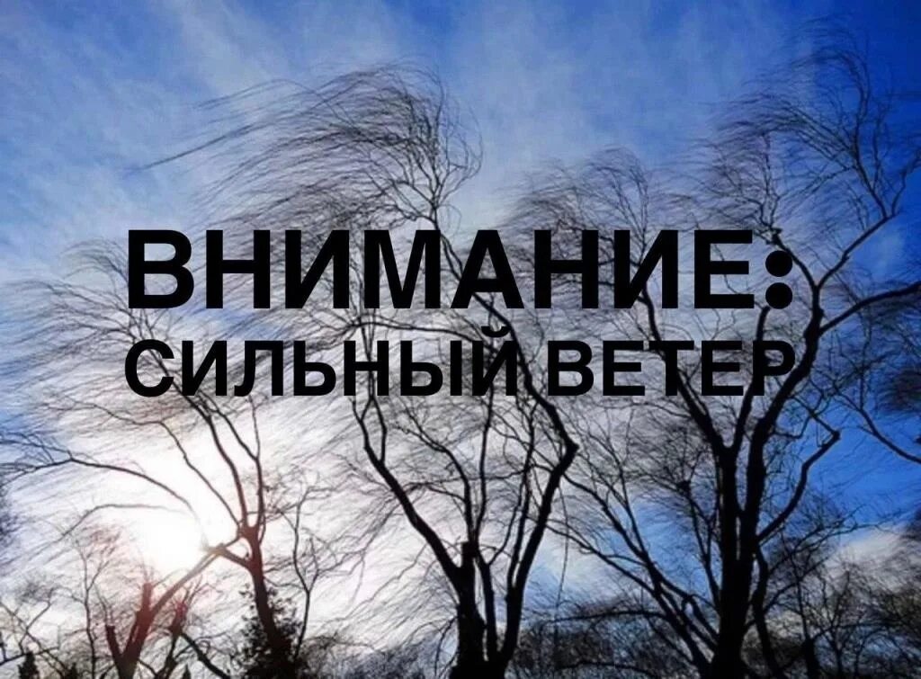 Сильные ветра читать полностью