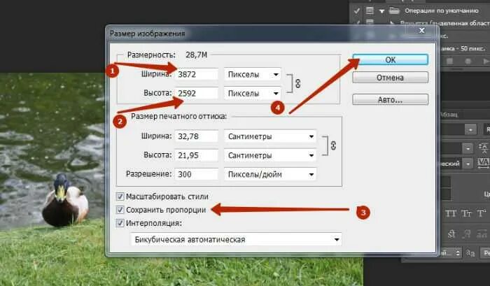 Как изменить размер картинки. Размер изображения в фотошопе. Как изменить фото. Картинки измерения размера. Обрезать фото без потери размера