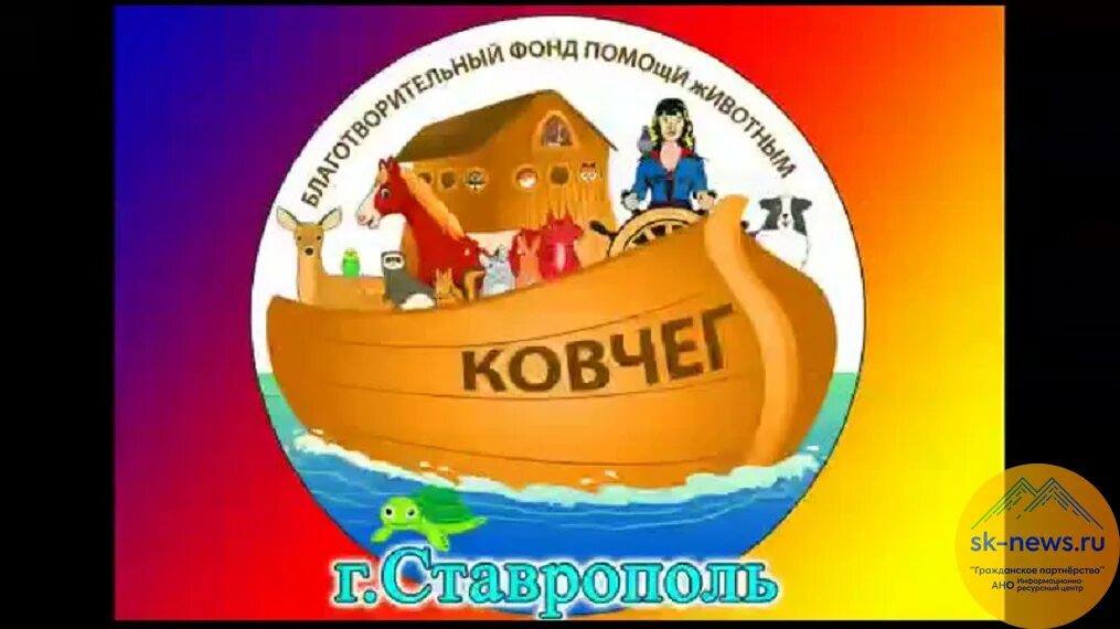 Ветцентр ковчег. Фонд Ковчег. Ковчег Ставрополь. Волонтерство в Ковчег. Приют Ковчег Ставрополь.