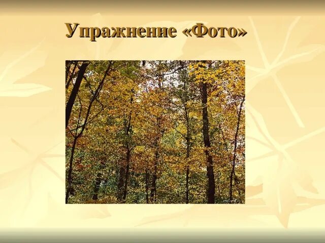 Урок чтения бунин листопад 4 класс. Бунин листопад урок. бунин листопад презентация. картина ивана алексеевича бунина листопад. листопад бунин начальная школа.