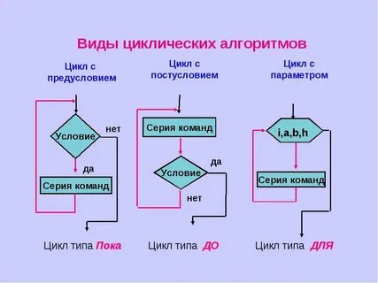 Цикл новые виды