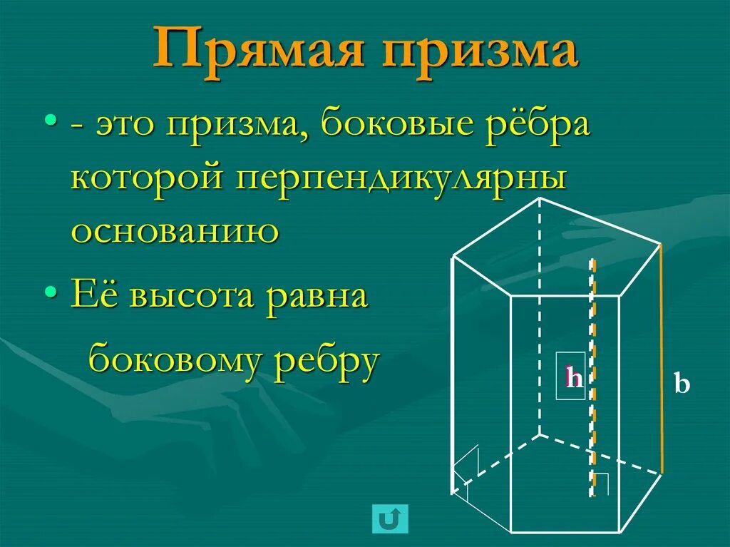 Прямая призма. Пятиугольная призма элементы призмы. пятиугольная прямая призма ребра основания. прямоугольная пятиугольная призма. призма ее основания боковые ребра высота.