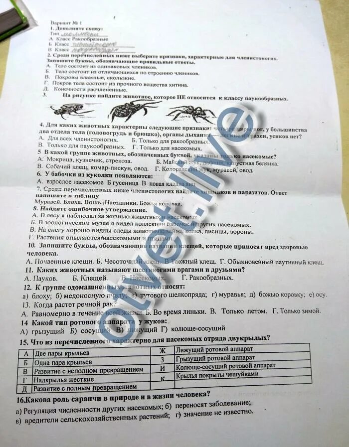 Контрольное тестирование по теме тип членистоногие ответы