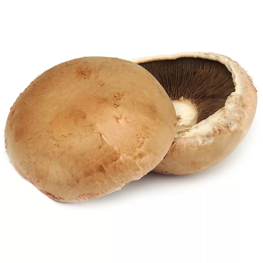 Грибы портобелло шиитаке. Шампиньон двуспоровый (agaricus bisporus). Грибы шампиньон портобелло. Грибы шампиньон портобелло. Грибы шампиньон портобелло.