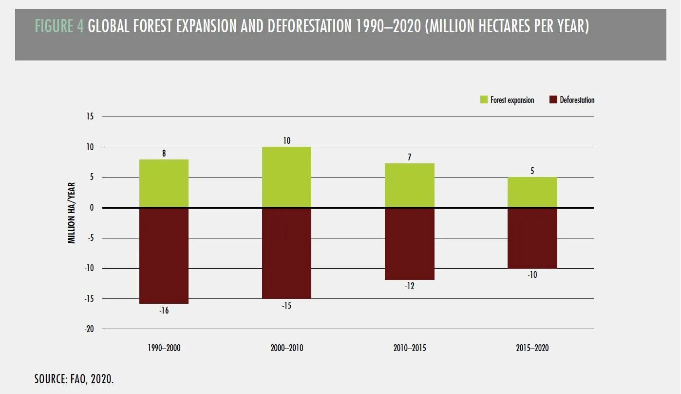 Global forests. 1990 и 2025. global deforestations facts.