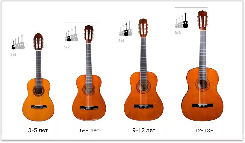 Гитара 1 2 купить. Размер гитары 40. Размер классической гитары 4/4. Кремона 12 струн. Габариты гитары классической.